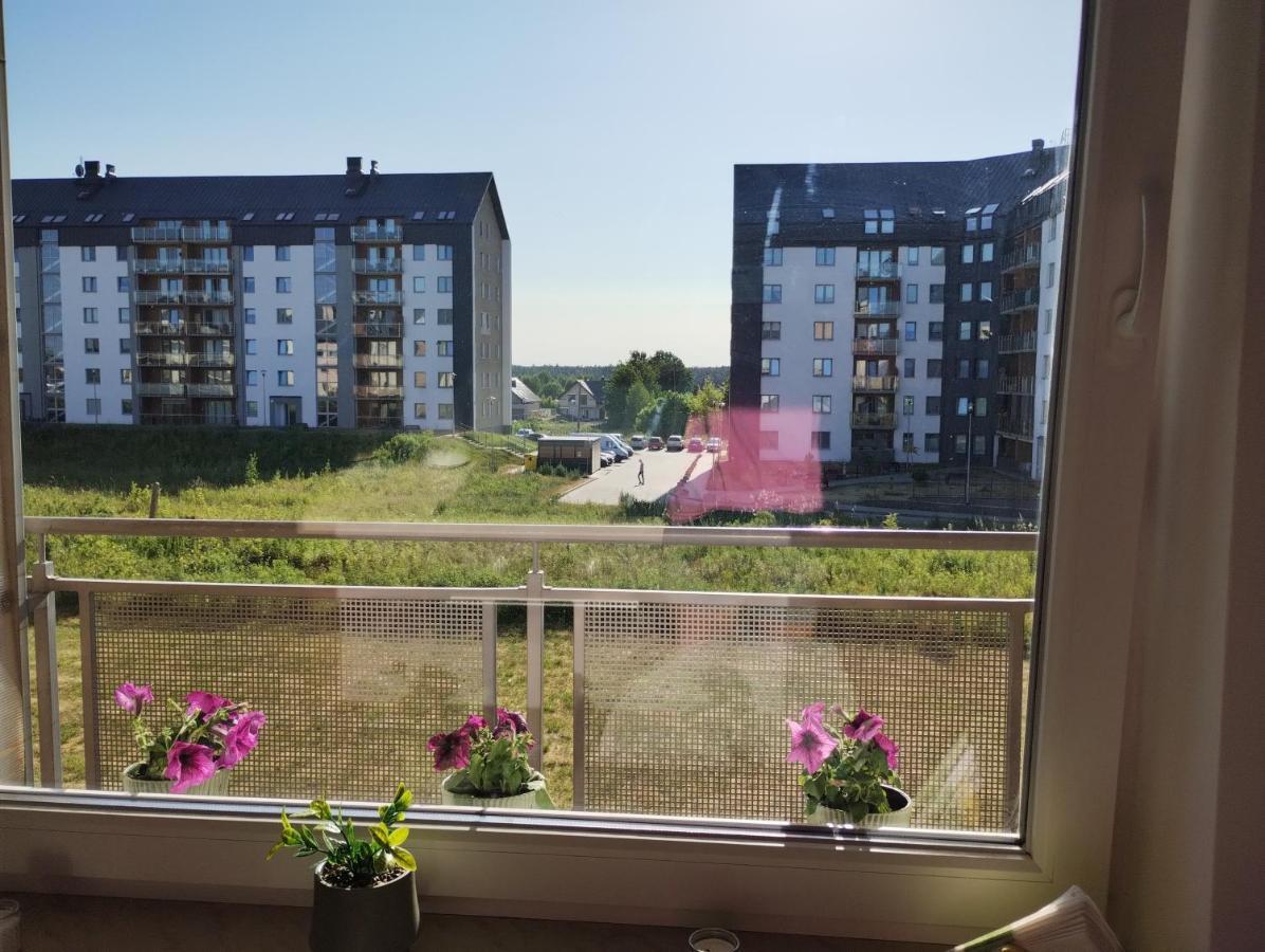 Apartament Gardena Olsztyn 奥尔什丁 外观 照片